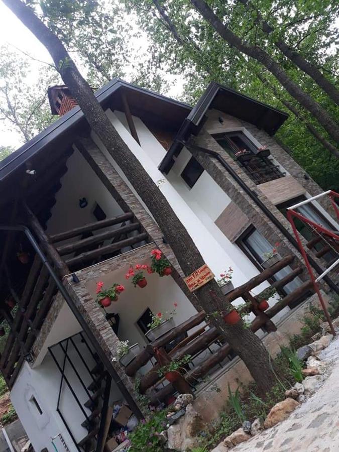 Villa Vila Ktm Lisine Despotovac Exterior foto